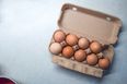 Contaminated eggs supplied to Irish food businesses, says FSAI