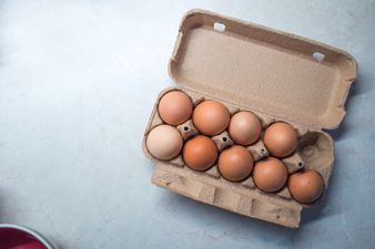 Contaminated eggs supplied to Irish food businesses, says FSAI