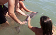 Baby dolphin dies of ‘stress’ after being passed around for selfies
