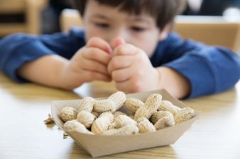 A treatment for peanut allergies may be on the horizon