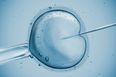 Couples using IVF told to avoid common household chemical