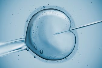 Couples using IVF told to avoid common household chemical