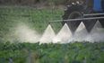 Pesticides could have link to birth abnormalities, says research