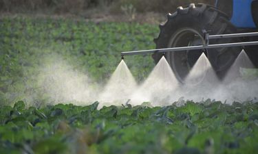 Pesticides could have link to birth abnormalities, says research