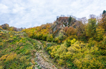 Boy, 6, found unconscious in woods after being missing for 3 nights