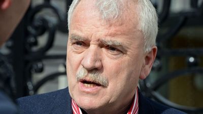 Junior Health Minister Finian McGrath wants the HPV vaccine banned