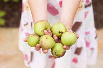 3 super easy ways to help your children develop healthy eating habits