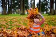 This is why you should never let your children jump in piles of leaves