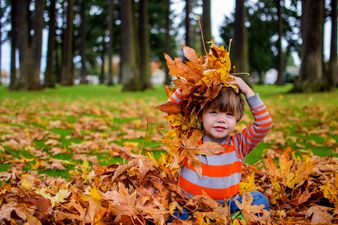 This is why you should never let your children jump in piles of leaves