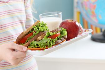 Nutritionists have revealed plans for healthy lunches for Irish school children