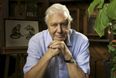 David Attenborough is coming BACK with a new show