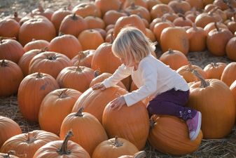 5 great pumpkin patches around Ireland to bring the kids to this month