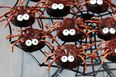 Brownie spiders are the spooky treats to make with the kids