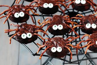 Brownie spiders are the spooky treats to make with the kids