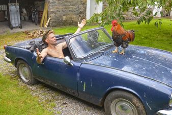 The new Irish Farmers Calendar has been released and it’s wonderful