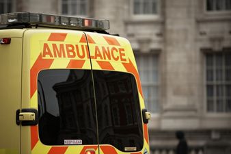 Donegal child hospitalised following dog attack