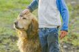 Children growing up with dogs less likely to suffer from mental health issues