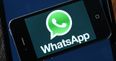 WhatsApp users have been hit with an annoying glitch – here’s how to fix it