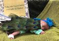 This hospital held cutest Halloween costume contest for NICU babies