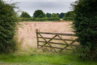 Six-year-old boy in intensive care after farm accident in Laois