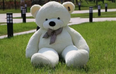 This giant cuddly teddy bear has one MAJOR flaw