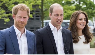 Princes Harry and William are starring in the most random movie ever