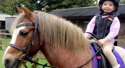 Katie Price devastated as beloved family horse dies in tragic accident