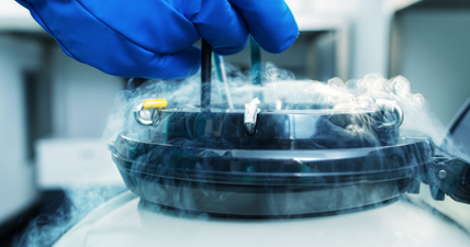 Curious about egg donation? Here’s everything you need to know…