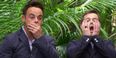 This is how much money Ant and Dec make for I’m A Celebrity