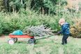 The Grangegorman Bring Centre will recycle your Christmas tree for free