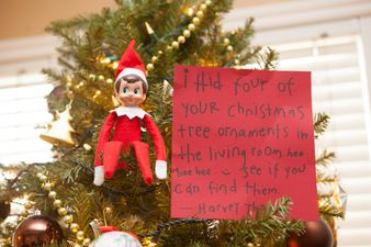 Musings: My child is terrified of Elf on a Shelf and to be honest I can’t blame him