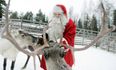 A reindeer was ‘shot at close range’ at Santa Experience in Wicklow