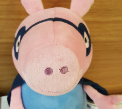 Irish Rail launch appeal to reunite lost stuffed toy with owner