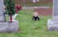 Dog refuses to leave late owner’s grave and it’s heartbreaking