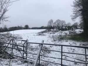 The latest forecasts suggests snow could be on the way next