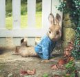 5 reasons we all adored Peter Rabbit growing up (and he’s making a BIG return!)