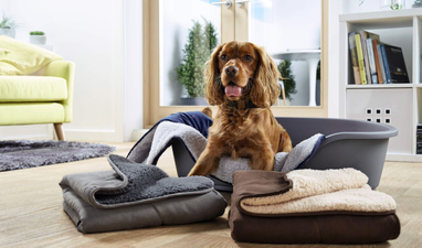 Aldi is doing a massive pet event with some serious deals to spoil your fluffy friend