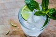 Interesting… Science says that people who drink gin are sexier
