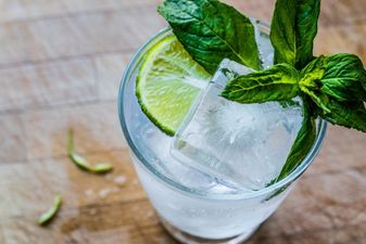 Interesting… Science says that people who drink gin are sexier