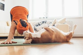 Dog Yoga is the brand new fitness trend that’s the puppy-lovers dream