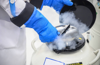 An Irish company is offering female employees the chance to freeze their eggs