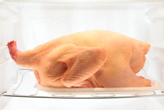 After reading this, you’ll never put chicken on the top shelf of the fridge