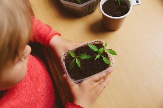 Nature-inspired activities for kids