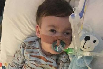 ‘He gained his wings at 2.30am…’ Brain-damaged toddler Alfie Evans passes away