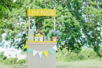 11-year-old girl starts lemonade fundraiser to try and save her mum’s life