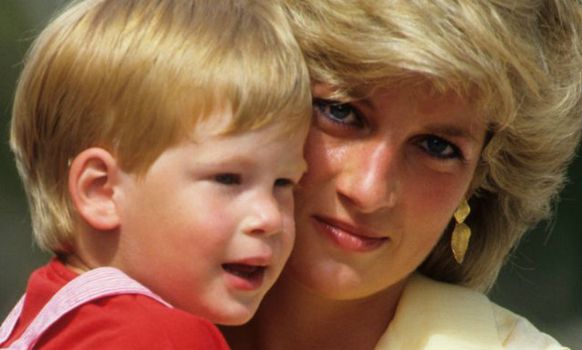 Princess Diana's former bodyguard has some harsh words for Prince Harry