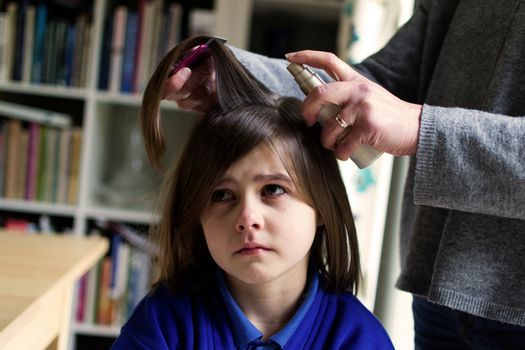 how to treat head lice