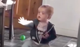 Cork baby is completely amazed after seeing sunshine for the first time