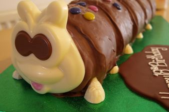 Marks and Spencer is now selling a massive caterpillar cake for 40 people