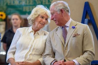 Apparently, this is the title that Camilla will receive when Prince Charles becomes King.